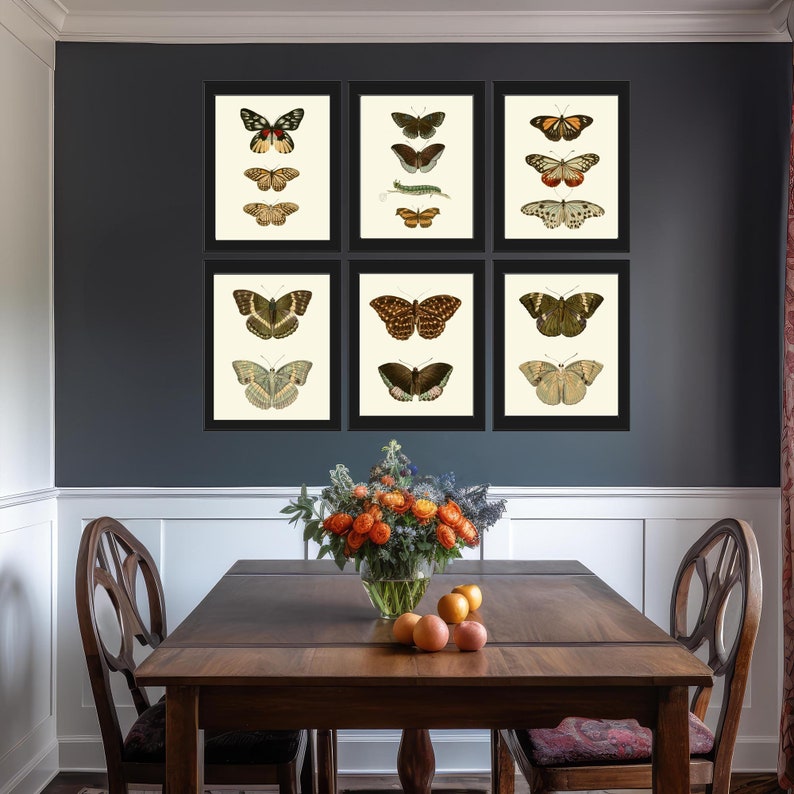 Vintage Butterfly Wall Art Prints Set of 6 DSFN Beautiful Antique ...