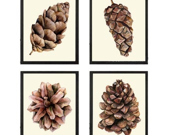 Pinecone Wall Art Prints Set of 4 Beautiful Brown Pine Cones Tree Forest Outdoor Nature Botanical Home Room Decor Decoration to Frame CM