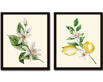 Lemon Botanical Wall Art Print Set of 2 Beautiful Blooming White Flowers Tropical Citrus Tree Garden Nature Home Room Decor to Frame LMC