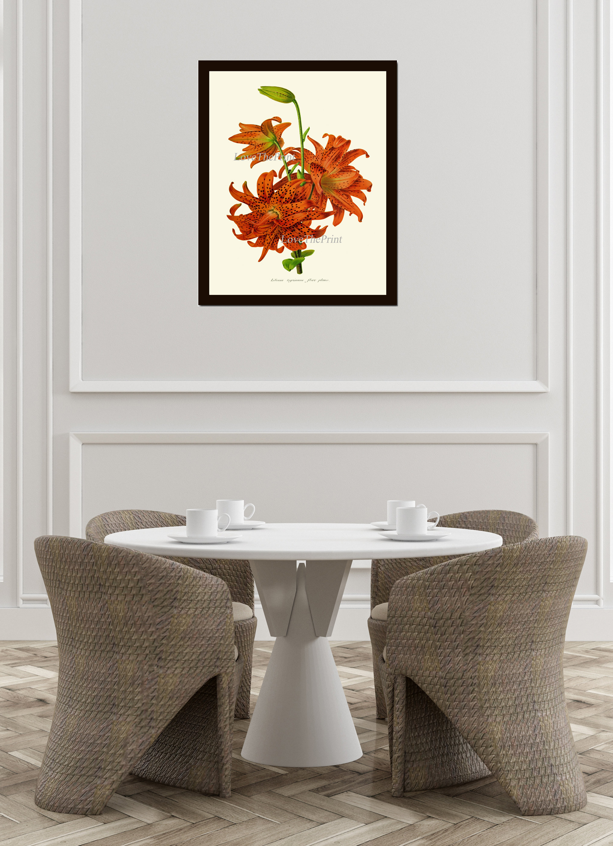Tiger Lily Botanical Print IH950 Beautiful Antique Orange Flowers