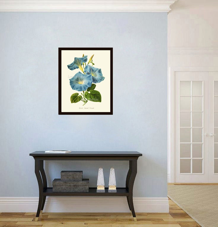 Blue Flowers Moonflower Morning Glory Botanical Print IH927