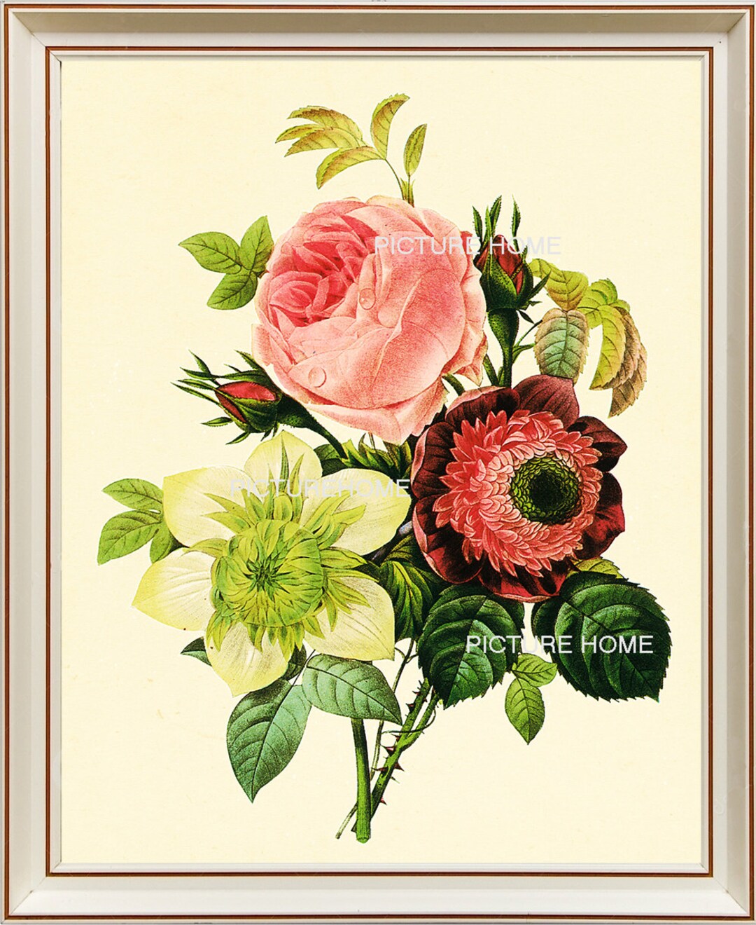 Rose Botanical Print 4 Beautiful 8X10 Antique Redoute Art Pink White ...