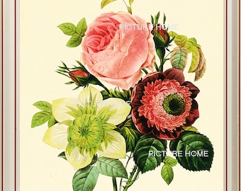 Rose Botanical Print 4 Beautiful 8X10 Antique Redoute Art Pink White Roses Shabby Chic Room Decoration Wall Art