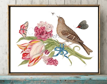Ave impresión pared arte BOT12 hermoso antiguo rosa blanco tulipán flores bouquet bonita mariposa pájaros decoración de decoración de la habitación para enmarcar