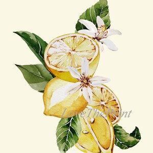 Roses and Lemons Wall Art Print Set of 6 Beautiful Watercolor Fruit