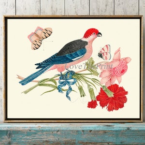 Bird Print Wall Art BOT14 Bella Antiquariato Blu Uccelli Rossi Fiori Farfalla Home Room Grande Poster Casa Decorazione Decor a Telaio