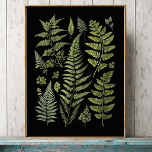 Fern Wall Art Print Home Decor Grafiek Mooie Groene Botanische op zwarte achtergrond Bos Natuur AID15 Tuin Cadeau Bloemeninterieur naar Frame