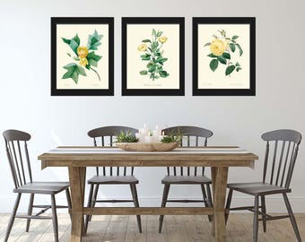 Beautiful Yellow Flower Botanical Print Wall Art Set of 3 French Painting Dining Room Bedroom Office Romantic Pretty Home Decor to Frame RFL