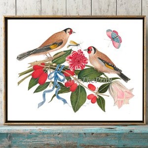 Uccelli e fiori Stampa Muro Art BOT6 Bella Antiquariato Rosa Blu Floreale Regalo Casa Decor Camera da Pranzo Sala Cucina Corridoio a Telaio