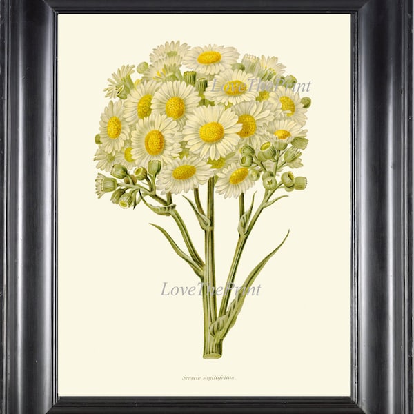 Daisy Wall Art - Etsy