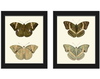 Butterfly Wall Art Print Set of 2 Beautiful Antique Vintage Natural Neutral Colors Garden Nature Drawing Picture Home Decor to Frame DFSN