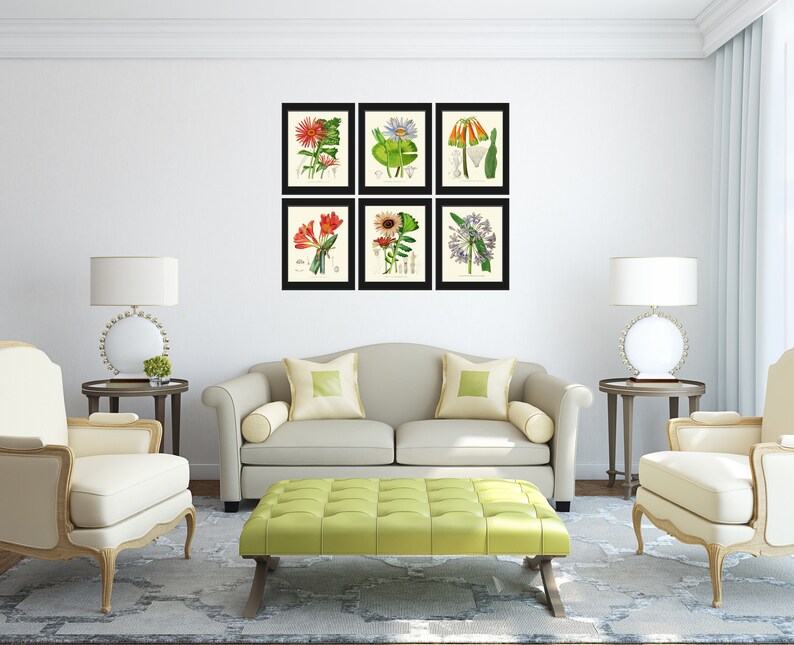 Botanical Flower Wall Art Print Set of 6 Prints Beautiful Etsy