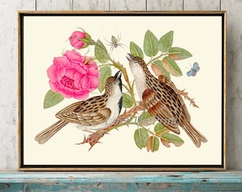 Vogel Druck Wandkunst BOT5 schöne antike rosa Blume botanische Home Decor Vogelbeobachtung Bauernhaus Bauernhaus Gartenarbeit Natur Poster zum Rahmen