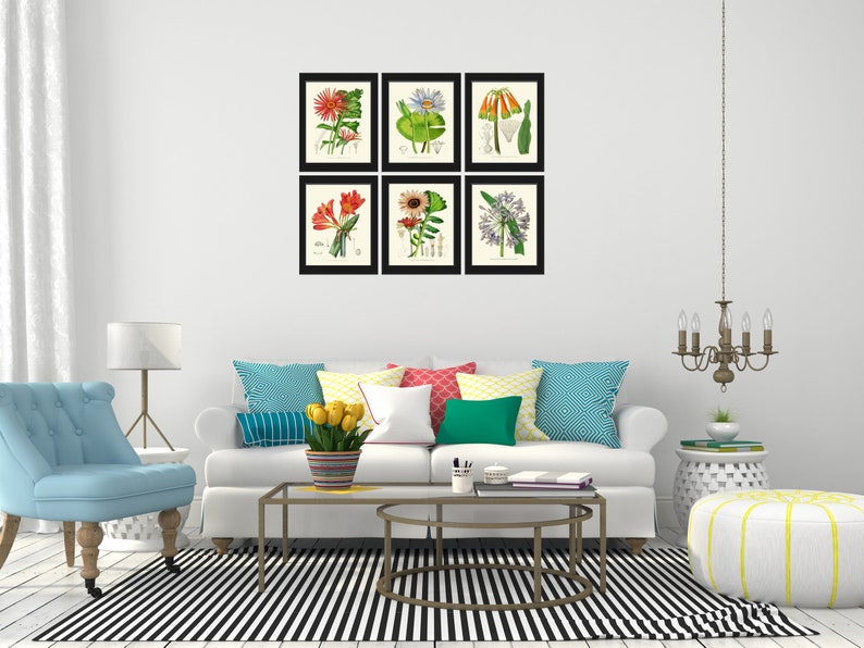 Botanical Flower Wall Art Print Set of 6 Prints Beautiful Etsy
