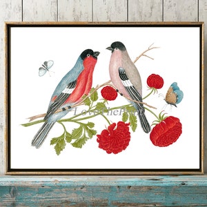 Arte de parede com impressão de pássaros BOT13 Lindas flores vermelhas antigas cravos borboleta azul decoração de quarto de casa ilustração de casa de campo decoração para moldura