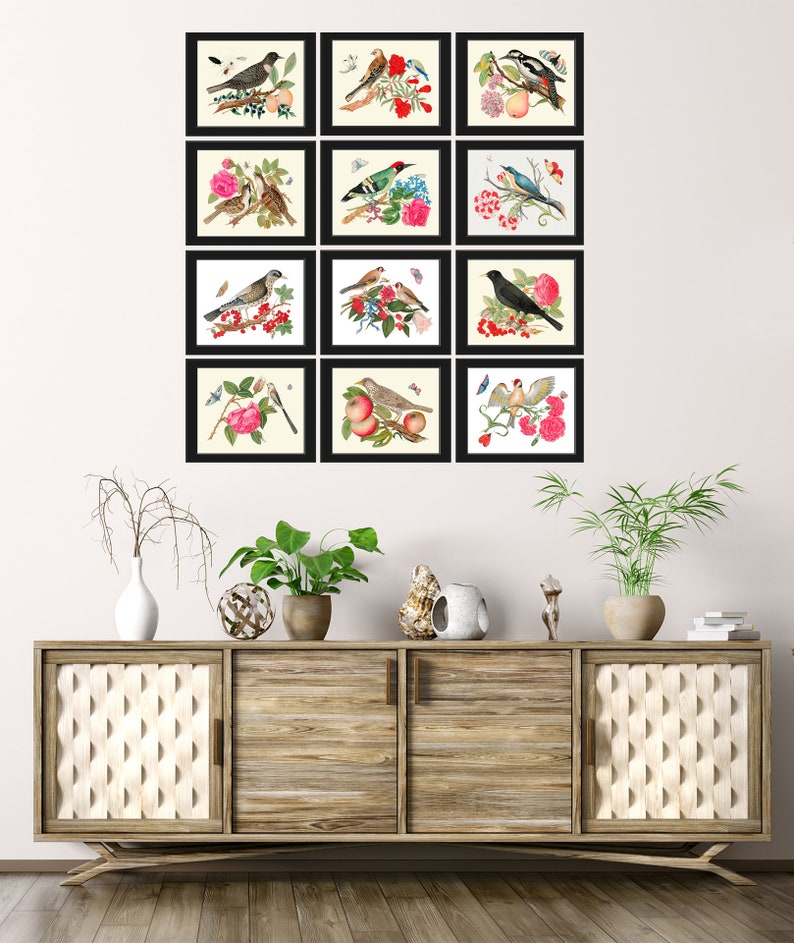 Bird Prints Botanical Wall Art Set of 12 Beautiful Antique Fruit ...