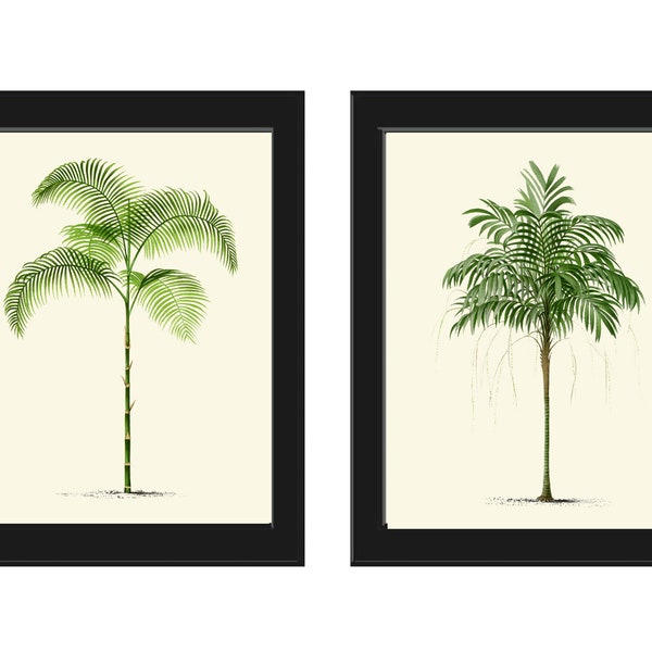 Palm Tree Wall Art Print Pair Etsy — free download