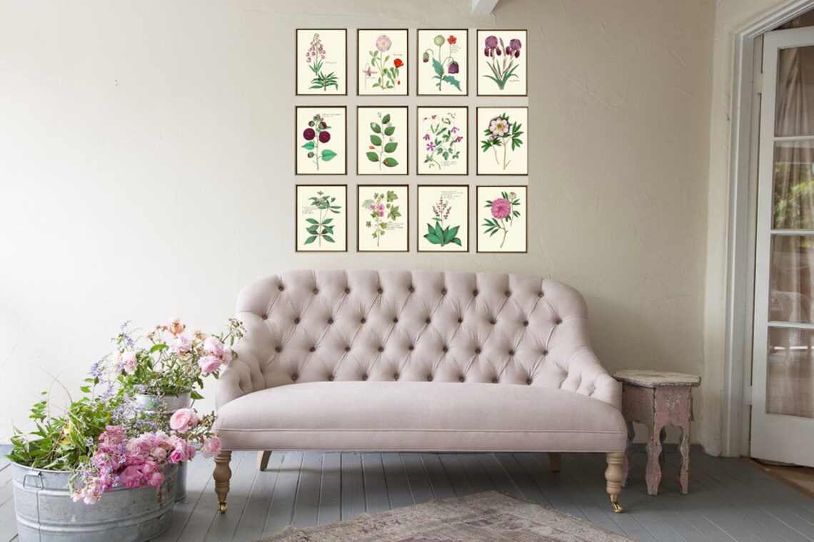 Pink Roses Botanical Wall Art Print ABD33 Beautiful Antique | Etsy