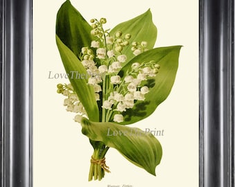 Lily of the Valley Botanical Wall Art Print IH892 Beautiful Antique White Spring Summer Flowers Outdoor Nature Home Room Decor to Frame IH