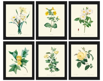 White Yellow Flowers Home Decor Botanical Wall Art Print set of 6 Vintage Antique Rose Narcissus Dining Living Room Bedroom Romantic RFL