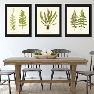 Fern Botanical Print Wall Art Set of 3 Antique Vintage Kitchen Dining Room Bedroom Forest Nature Interior Design Home Decor to Frame EJL