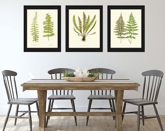 Conjunto de 3 arte de parede com estampa botânica de samambaia, decoração vintage antiga para cozinha, sala de jantar, quarto, floresta, natureza, design de interiores, decoração para casa, para emoldurar, EJL