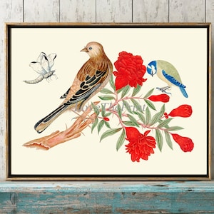 Bird Print Wall Art BOT4 Bella Canzone Antica Uccelli Rossi Fiori di Melograno Casa Decor Camera da Pranzo Cucina Ufficio Corridoio a Telaio