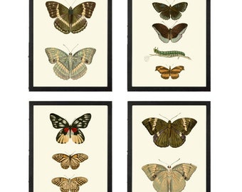 Vintage Butterfly Wall Art Set of 4 Prints Beautiful Antique Garden Nature Home Dining Living Room Bedroom Office  Decor to Frame DFSN