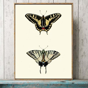 Vintage Butterfly Wall Art Print Home Decor Beautiful Dining Room Kitchen Bathroom Playroom Office Bedroom Garden Home Decor to Frame DFSN5