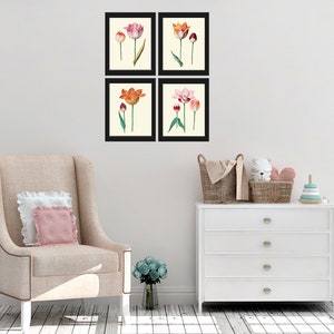 Tulip Botanical Prints Set of 4 Beautiful Antique Pink White Orange ...