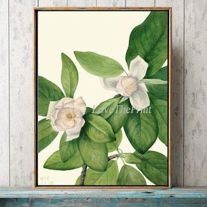 Magnolia Botanical Wall Art Print MVW10 Beautiful Antique White Tree Flower Home Decor Green Nature Gardening Bedroom Dining Room to Frame