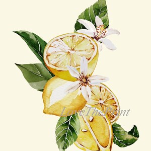 Lemon Citrus Fruit Prints Set of 4 Beautiful White Flowers - Etsy