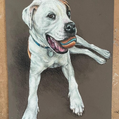 Custom Pet sale Portraits