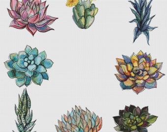 Eight Succulents III PDF Cross Stitch Pattern