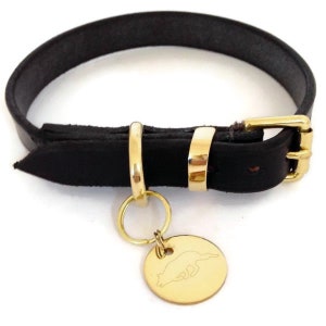 English Bridle Leather collar