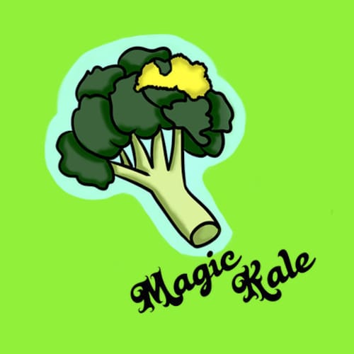 Etsy profile picture for @kaleidoo