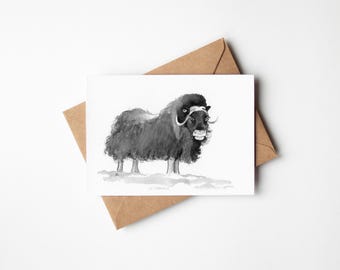 5x7 India Ink Musk Ox Card