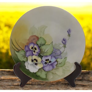 Vintage Hutschenreuther Bavaria Hand-Painted Floral Plate 9" German Porcelain Collectible