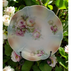 Antique Silesia Porcelain Plate with Hand-Painted Roses, 7.5” Scalloped Edge, 1880-1920 Decorative Collectible