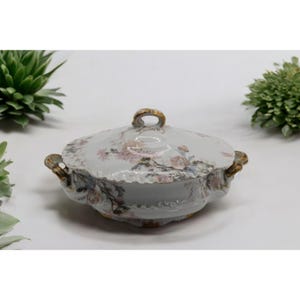 Antique Haviland Limoges Covered Bowl: Hand-Painted Floral Porcelain, France