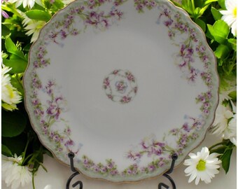 Antique Limoges Floral Plate, Hand-Painted Porcelain China, Gold Trim