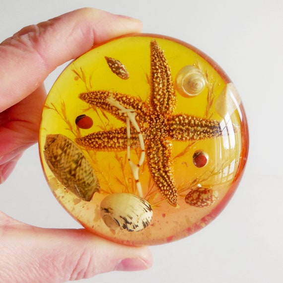 Presse Papier Vintage En Resine Etoile De Mer Et Coquillage Etsy