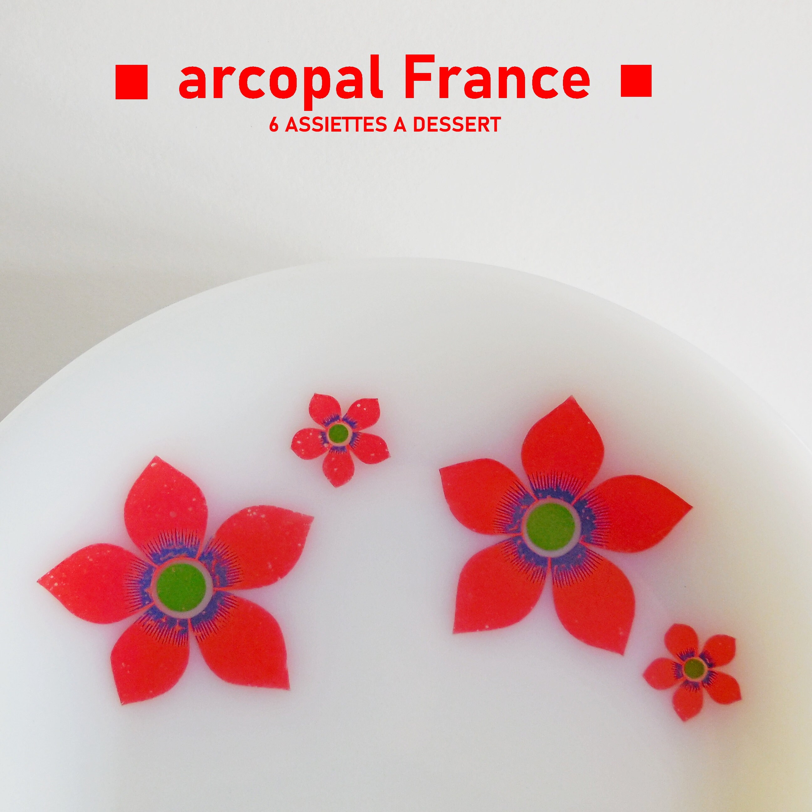 Service de table ARCOPAL : 6 assiettes plates, 6 assiettes