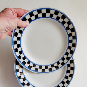 Assiettes  anciennes - Sarreguemines - Modèle Austerlitz - 1875-1900