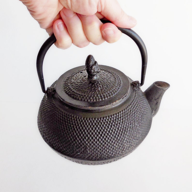 Théière japonaise bouilloire en fonte émaillée modèle | Etsy