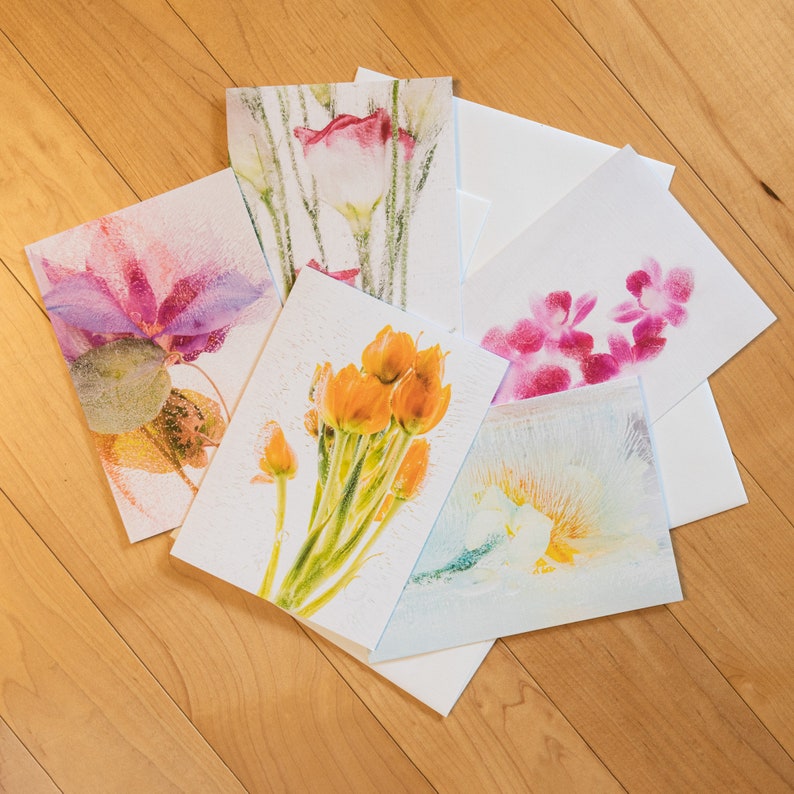 set of 5 fine art blank greeting cards wenvelopes