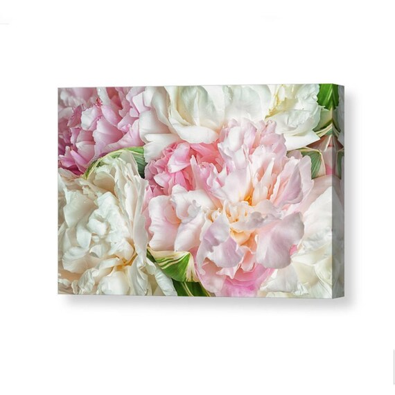 Pink Peonies Flowers Canvas Wall Art Shabby Chick Pink Etsy