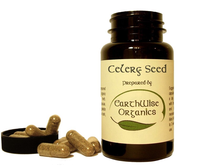 Celery Seed Capsules 500 mg Herbalist Prepared From Certified Etsy