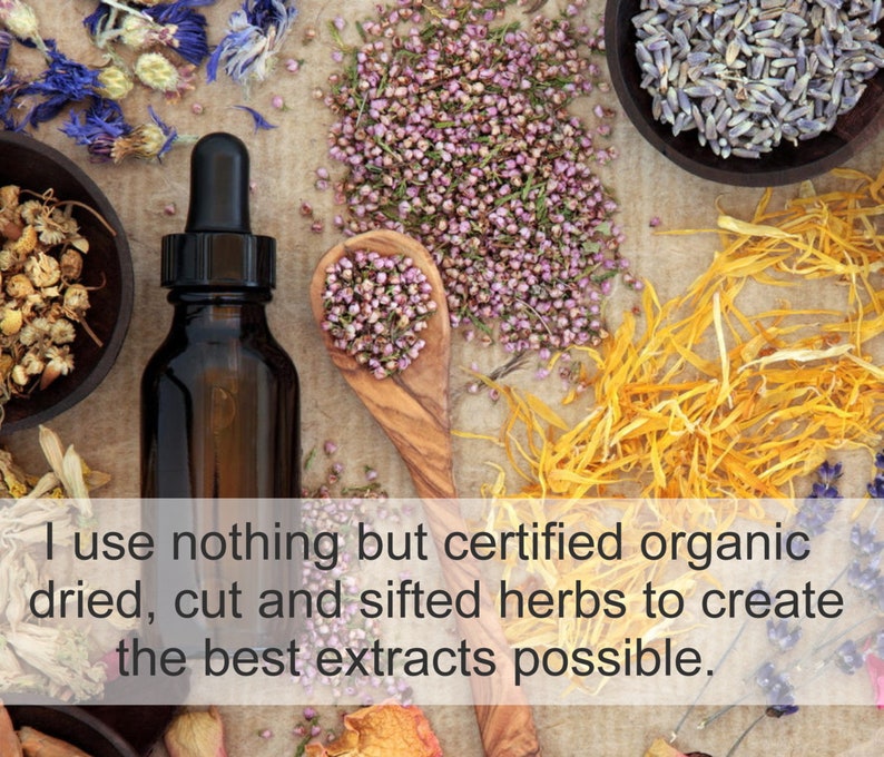 Oat Straw Herbal Tincture 500 mg Organic, Herbalist Prepared image 10