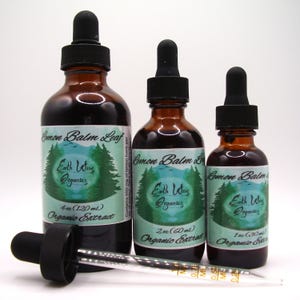 Lemon Balm Tincture • Organic Herbal Liquid Extract • Small Batch • Plant-Based